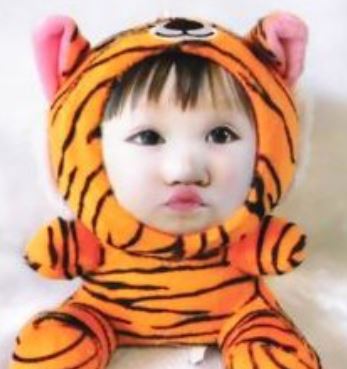 【i930個性小舖】-變臉娃娃--老虎(18cm)